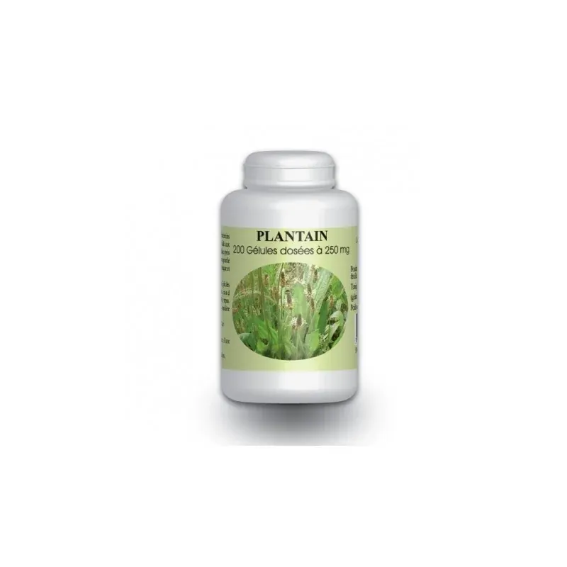 GPH DIFFUSION PLANTAIN BIO - 200 GELULES À 250MG