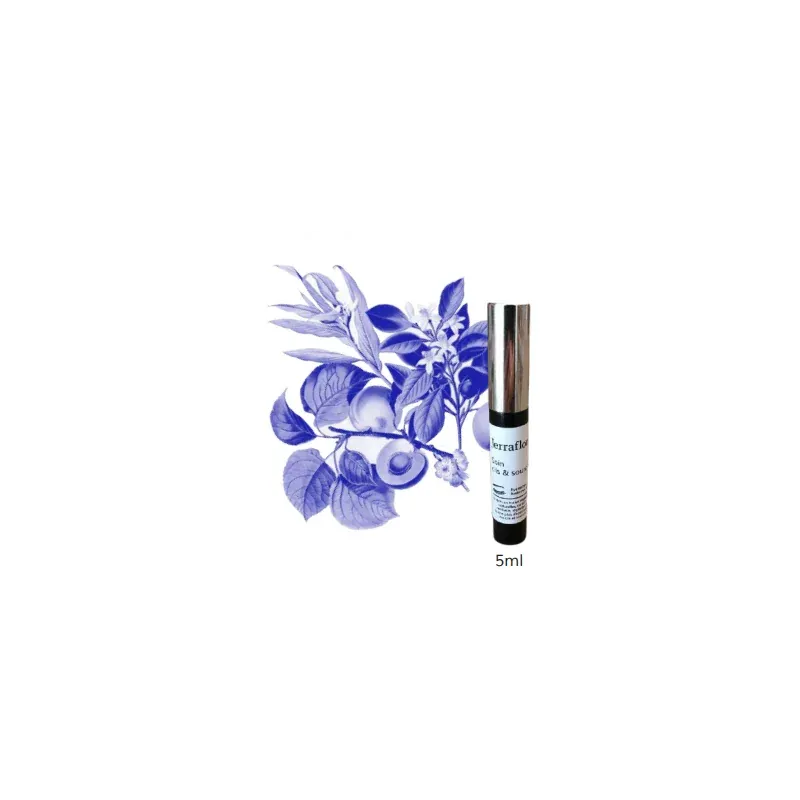 Jerraflore SOIN CILS & SOURCILS 5ml