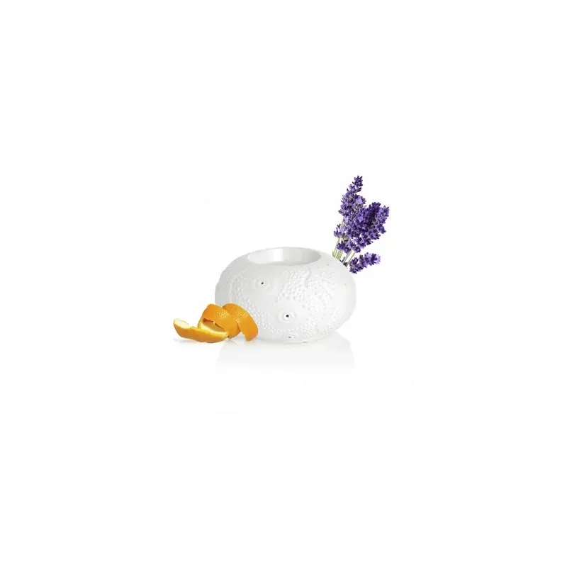 PURESSENTIEL DIFFUSEUR CALVI