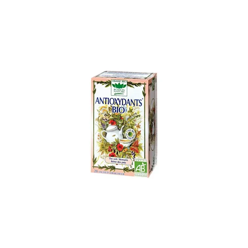 ROMON NATURE ANTIOXYDANTS 20x1,7G